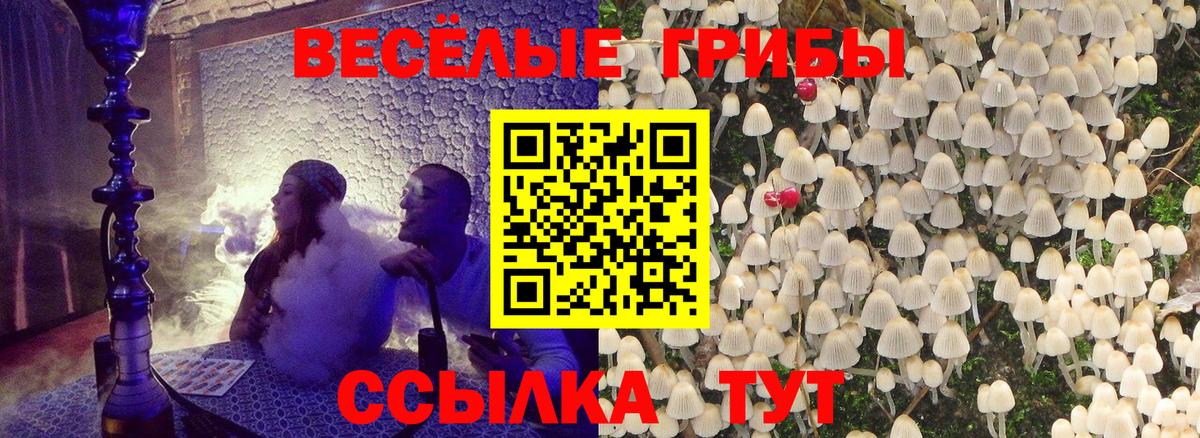 Галлюциногенные грибы мухоморы  Вход с VPN  Тавда 