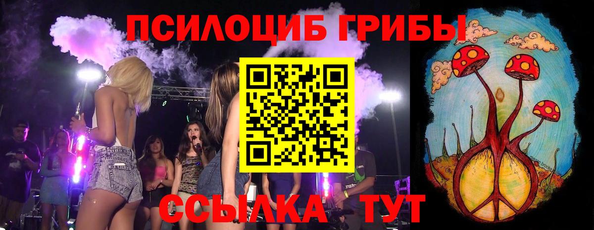 Галлюциногенные грибы GOLDEN TEACHER Тавда