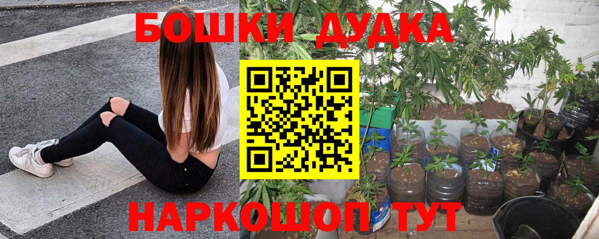 Шишки марихуана LSD WEED  Марихуана гибрид  Марихуана LSD WEED  Вход с VPN  Тавда 